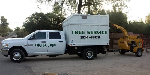 Finest Tree Service - Tree Removal Tucson, AZ - Residential, HOA & Commercial